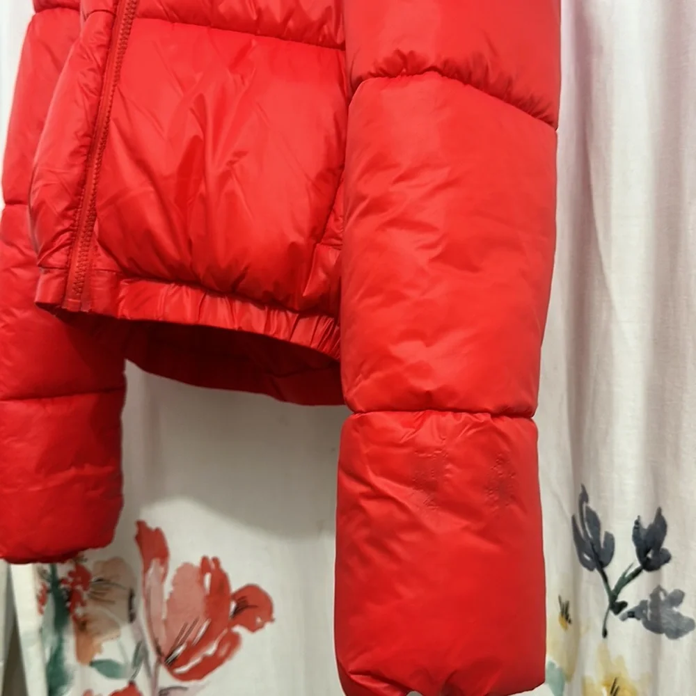 Jacket - Picture 2 of 6